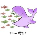 울릉대만족