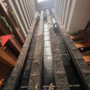 수안 호스텔 | 치앙마이님만#가성비호텔#로터스팡수안깨우