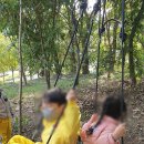 숲속예능어린이집 이미지