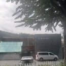 포포즈 반려동물장례식장 부산점 | 김포 포포즈 반려동물 장례식장 후기 | 14년 함께한 우리 아이 마지막 인사 (사진첨부)🌿🐾
