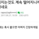 정성찬 네이버블로그
