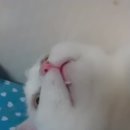 뮤이뮤이네일 이미지
