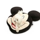 미키애견 이미지