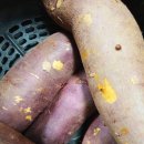 순희농장 이미지