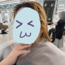 서울대입구/샤로수길 애쉬퍼플 로하로헤어에서 탈색후기 / 쿨톤 염색 추천