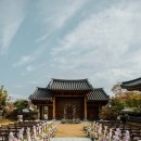 섬꽃로망
