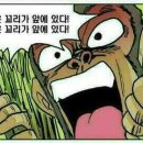 비밀 이미지