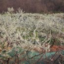 무성농장 이미지