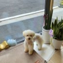 아이러브멍 이미지