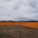 광경목장 이미지