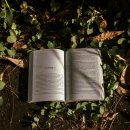 구조관계 이미지