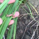 서수농장 이미지