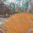 월성이씨 열행비 이미지