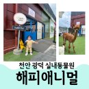 천안 광덕에 위치한 실내동물원 &#34;해피애니멀&#34; 솔직후기