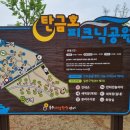 탄금호피크닉공원 3 이미지