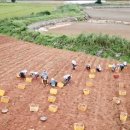 현희농장 이미지