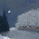 별이빛나는달밤