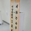 조쉬나인디테일링