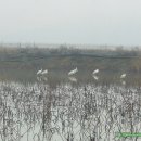 부리농장 이미지