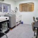 에스티 비숑프리제 이미지