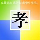 홈앤케어