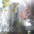 자이아파트 이미지