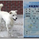진도특산 Daum카페