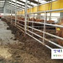 오덕농장 이미지