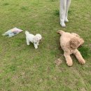 인천아시아드경기장 이미지