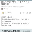 반도체 수출 -45%… 1월 무역적자 역대 최대 이미지