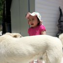 고향펜션캠핑 이미지