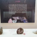 세계화석광물박물관 이미지