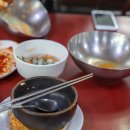 돌고래식당 이미지