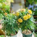 (주) 더블어