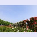 곡성-034 이미지