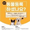 경기동물메디컬센터 이미지