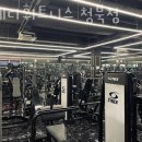 스테디 휘트니스 청북점 이미지