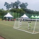 2025 화랑대기] 4R 2025.08.09 성남FC U11vs 경남FC U11 이미지