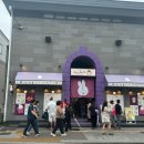 [삿포로여행] 오타루 &lt;미피 상점&gt; 방문 후기