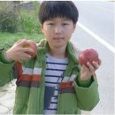 백양사역 이미지