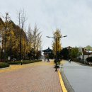 동산초등길 네이버블로그