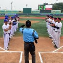 세종제1야구장 이미지