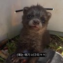 국제몰 이미지