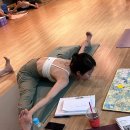 [RE:BORN YOGA] 리본요가 TTC RYS 200 28기 주말반 지도자과정 후기