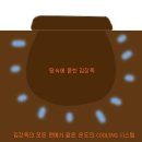 김치 냉장고의 정석 (김장철 김치 냉장고 고르는Tip) 이미지