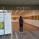 해바라기화실미술학원