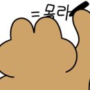 살롱딜라잇