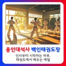 용인대석사튼튼태권도 이미지