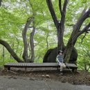 온동농장 이미지