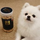 댕댕수라상 이미지